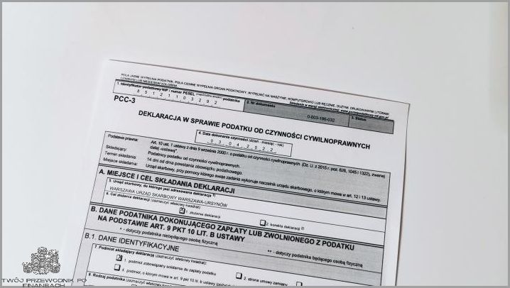 Deklaracja PCC-3: Wszystkiego, co trzeba wiedzieć!