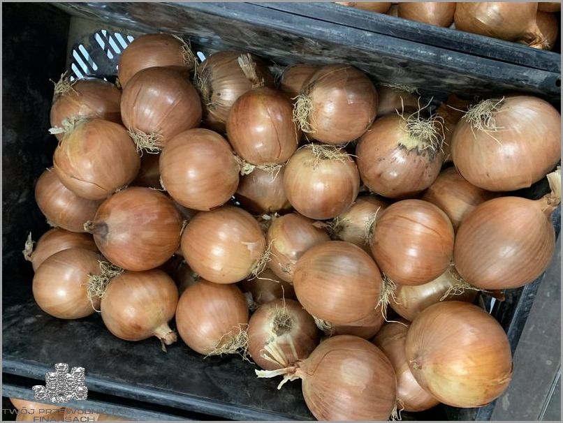 Gwałtowny Wzrost Ceny Gazu Na Giełdzie W Holandii!