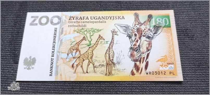 Hotel Wrocław Bon Turystyczny - przyciąga turystów!