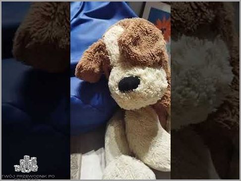 In Pzu - Przegapisz to na własne niebezpieczeństwo!