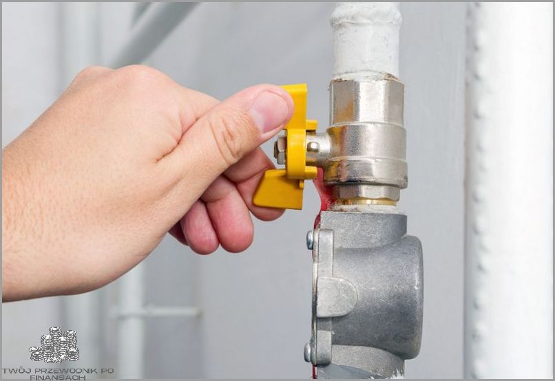 Kalkulator PGNiG - Dowiedz się jaka jest cena gazu!