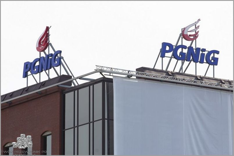 Kalkulator PGNiG - Dowiedz się jaka jest cena gazu!