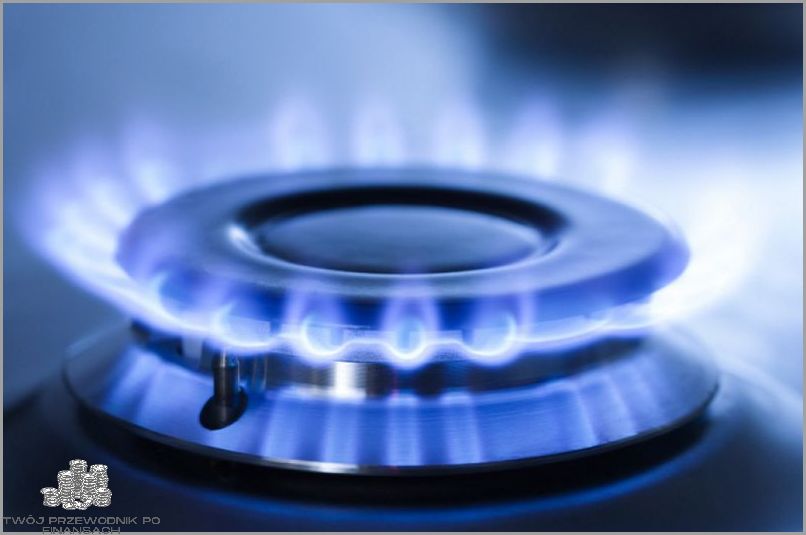 Kalkulator PGNiG - Dowiedz się jaka jest cena gazu!