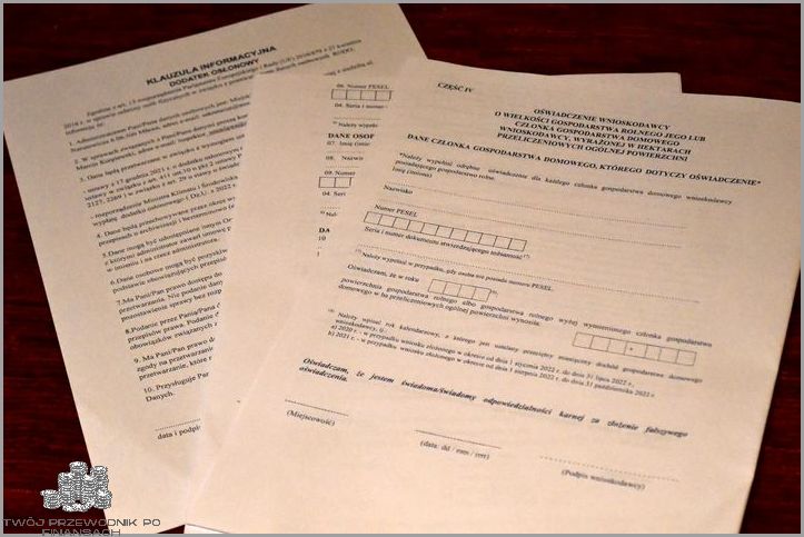 Odkryj, Jaki Dochód Uprawnia do Dodatku Osłonowego!