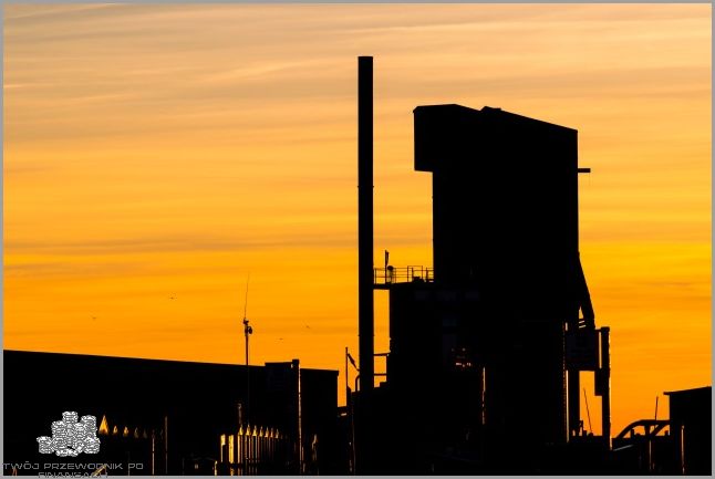 Ogromny wzrost wydobycia ropy naftowej na świecie!