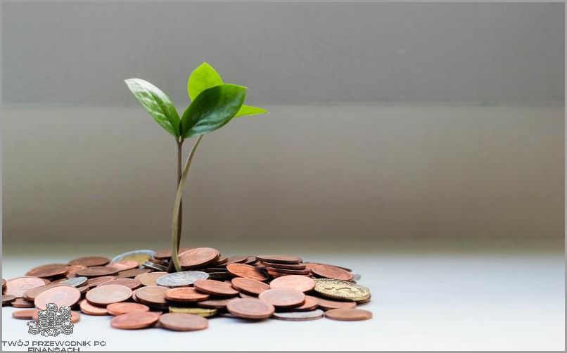 Otrzymaj Pożyczkę Dla Zadłużonych Z Poręczycielem!