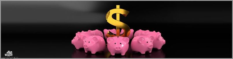 Pożyczki Bez BIKU I KRD Przez Internet - Sprawdź!