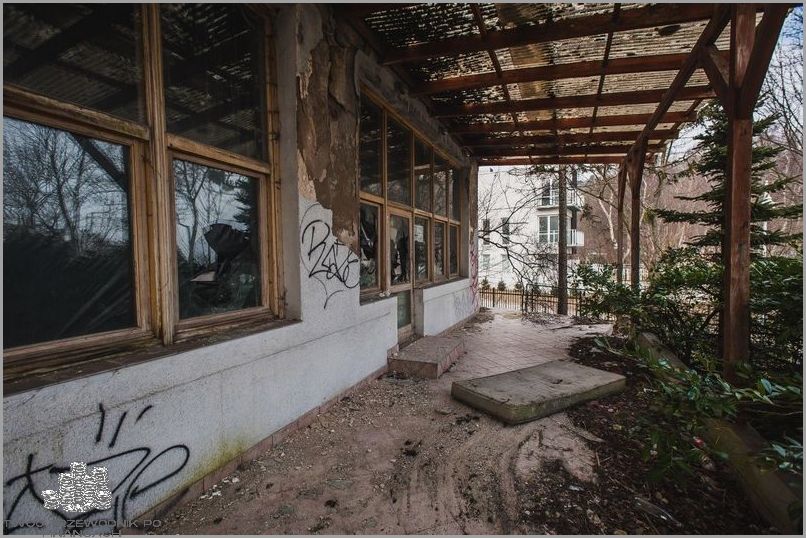 U Maksyma w Gdyni - Zobacz, co tam się dzieje!