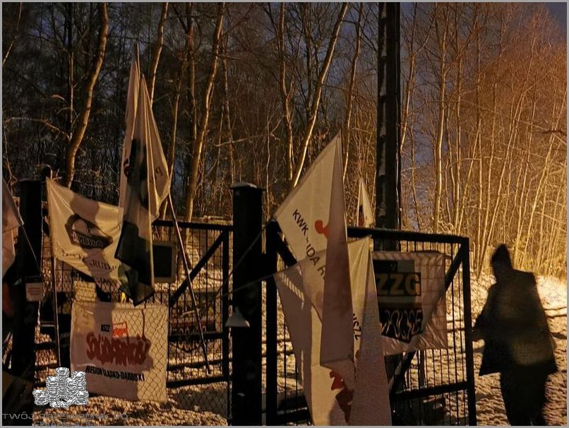 Zaskakujące wyniki: Transport Węgla Z Kopalni Pgg