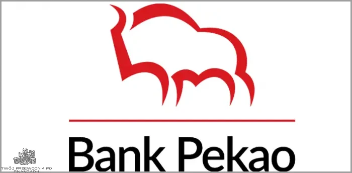 Oszczędź czas - skorzystaj z Bank Pekao S.A. Infolinia!